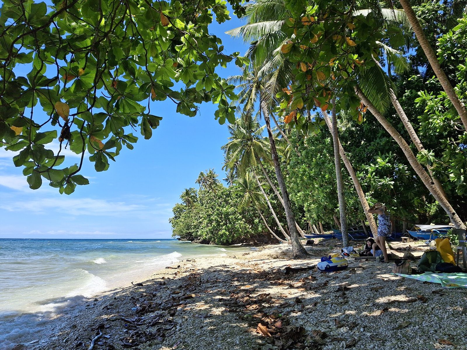 Littoral de Lila, à Bohol, commune où les interactions avec les requins-baleines ont été suspendues en février 2025